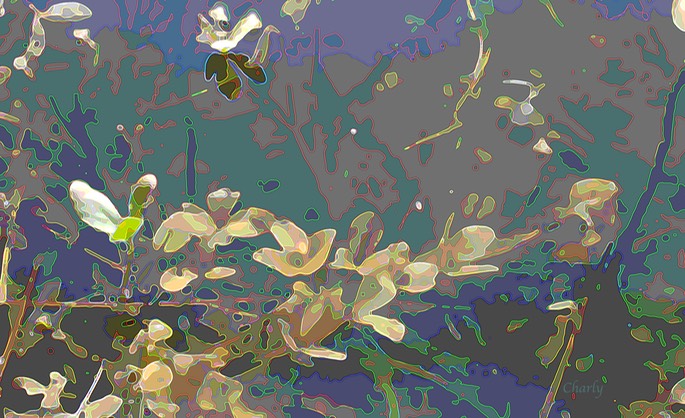 12.1 flowers on the water