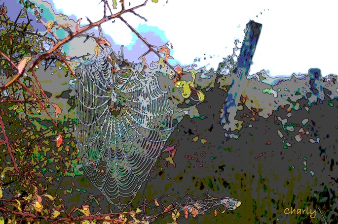 32.3.1Spiderweb